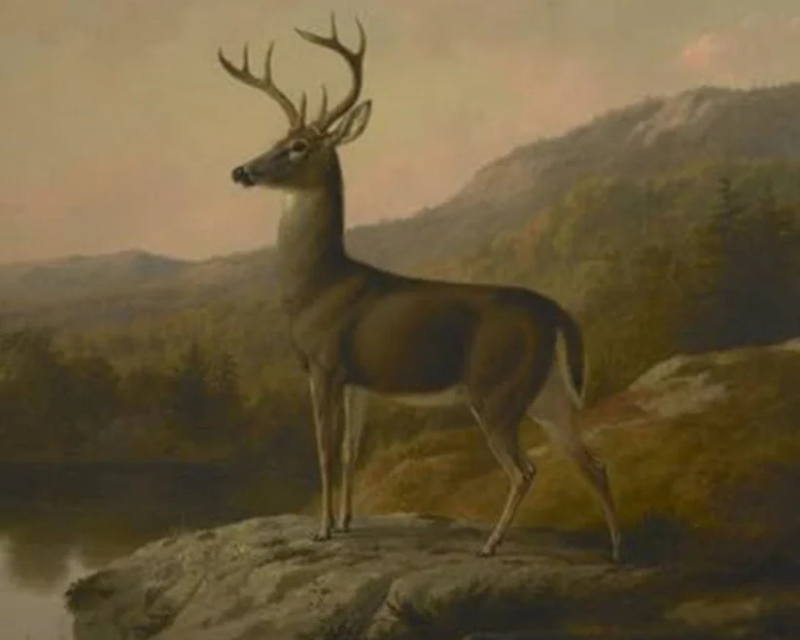 The Artistic Techniques Used in Wildlife Oil Paintings