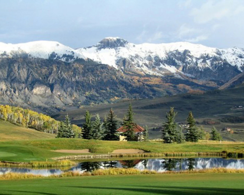 From Reference to Canvas: The Journey of a Custom Oil Painting