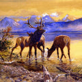 High quality wall art fine art oil painitng handpainted on canvas ”Elk in Lake” stunningoilpainting.com
