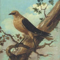 High quality wall art fine art oil painitng handpainted on canvas"bird on a branch" stunningoilpainting.com