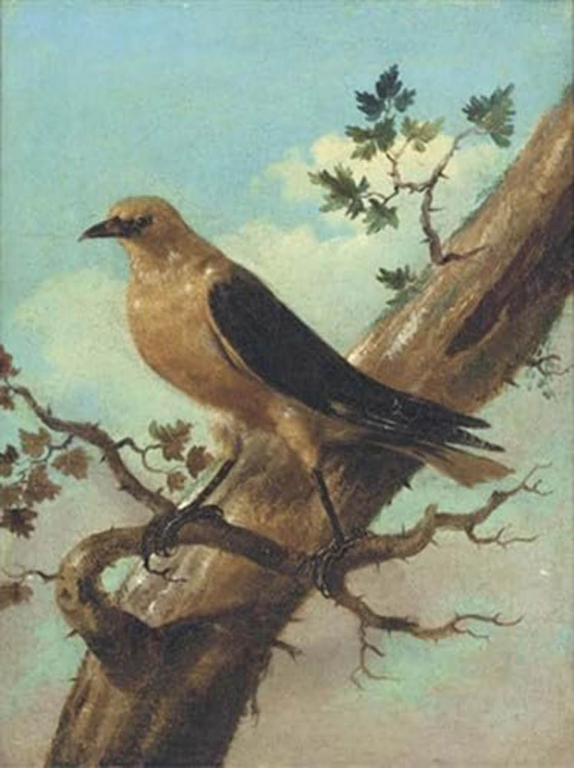 High quality wall art fine art oil painitng handpainted on canvas"bird on a branch" stunningoilpainting.com