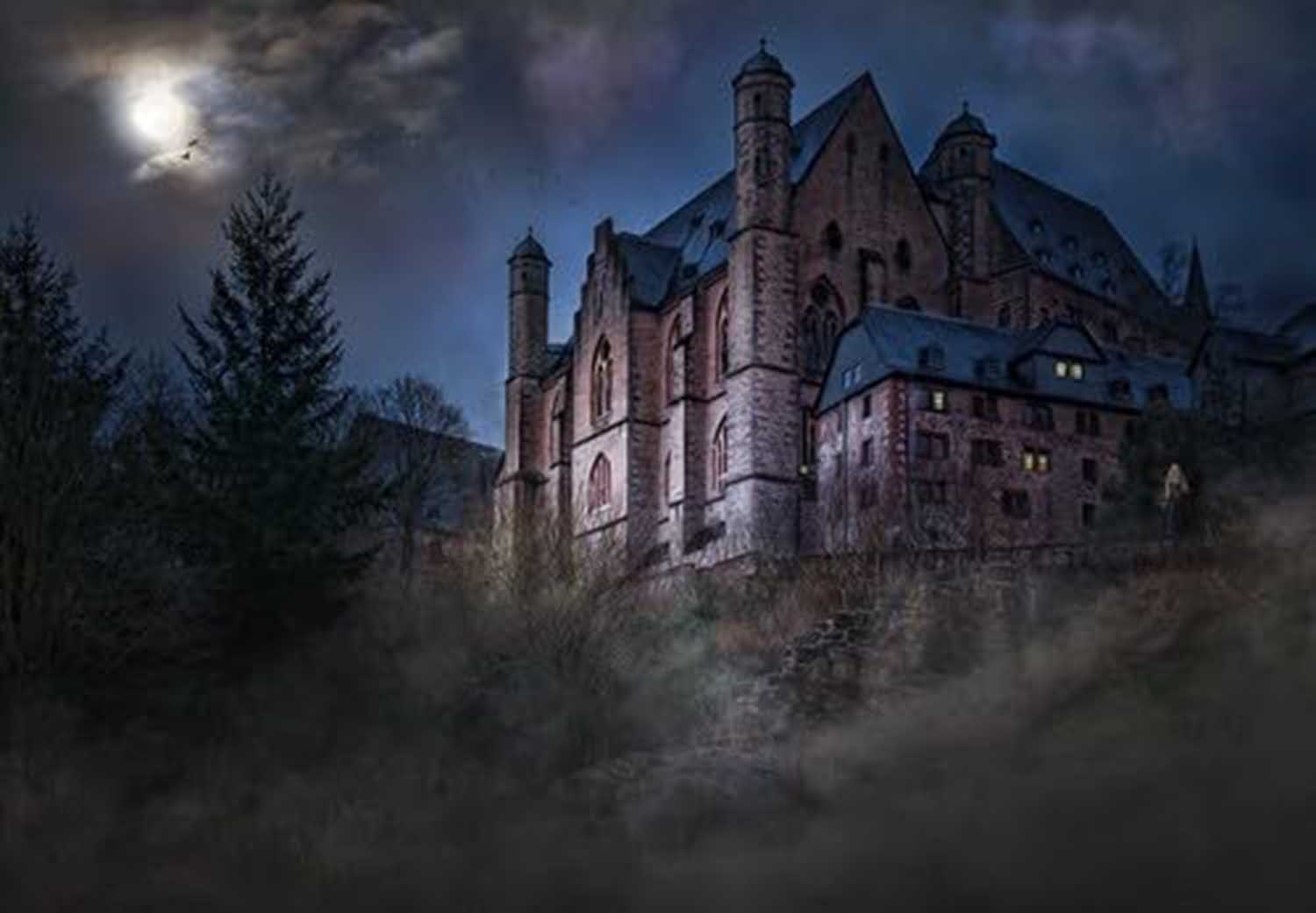 High quality wall art fine art oil painitng handpainted on canvas" Mysterious castle" stunningoilpainting.com