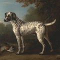 High quality wall art fine art oil painitng handpainted on canvas"a lovely dog" stunningoilpainting.com