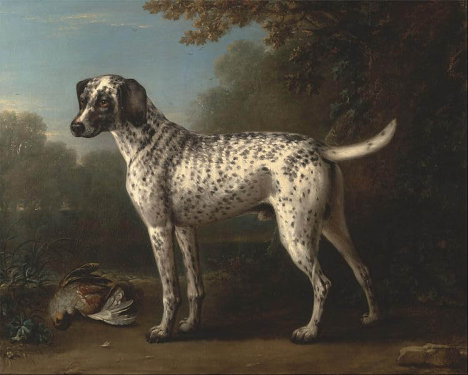 High quality wall art fine art oil painitng handpainted on canvas"a lovely dog" stunningoilpainting.com
