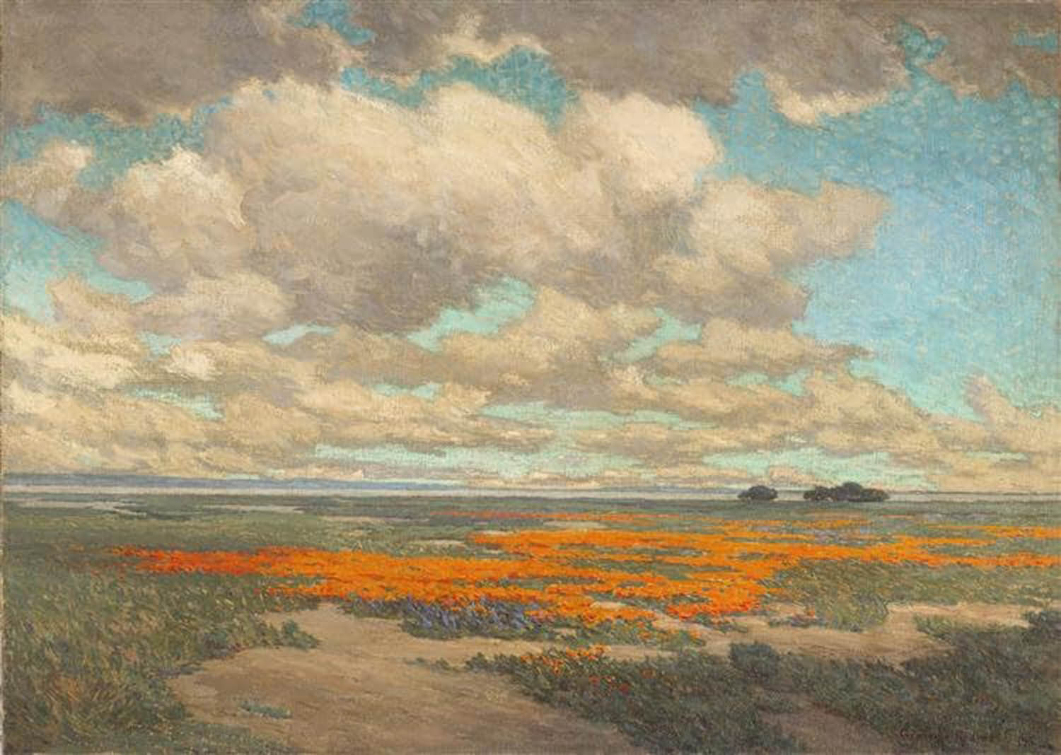 High quality wall art fine art oil painitng handpainted on canvas"A Field of California Poppies" stunningoilpainting.com