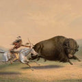high quality wall art fine art oil painitng handpainted on canvas "Buffalo Hunt" stunningoilpainting.com