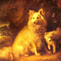 High quality wall art fine art oil painitng handpainted on canvas" Pomeranian Bitch and Pup " stunningoilpainting.com