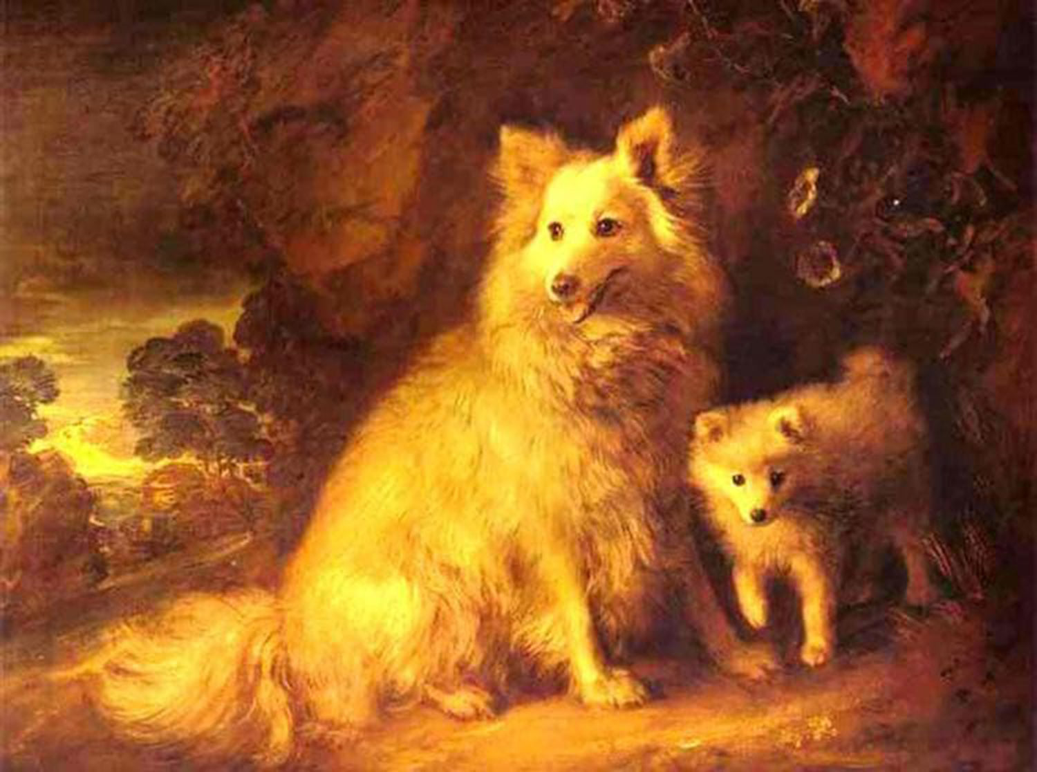 High quality wall art fine art oil painitng handpainted on canvas" Pomeranian Bitch and Pup " stunningoilpainting.com