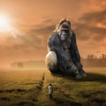 High quality wall art fine art oil painitng handpainted on canvas "Gorilla" stunningoilpainting.com