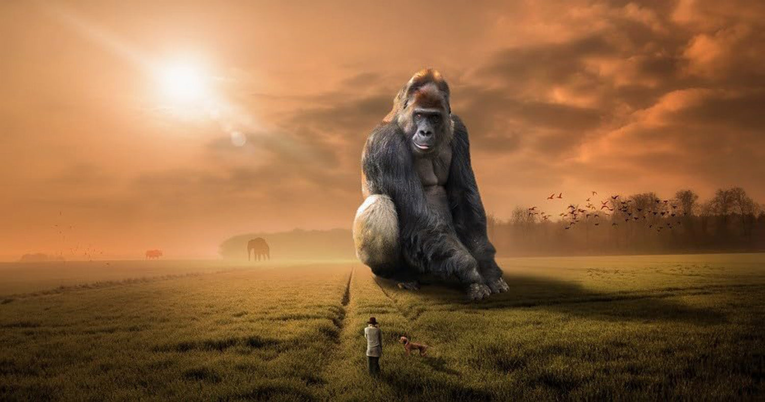 High quality wall art fine art oil painitng handpainted on canvas "Gorilla" stunningoilpainting.com