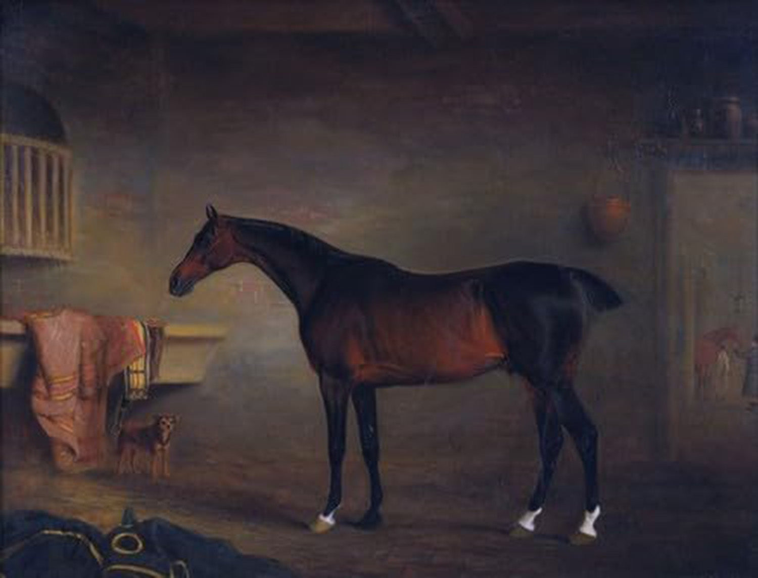 High quality wall art fine art oil painitng handpainted on canvas " a horse" stunningoilpainting.com