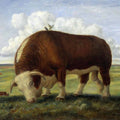 High quality wall art fine art oil painitng handpainted on canvas " two birds on a cattle " stunningoilpainting.com