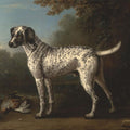 High quality wall art fine art oil painitng handpainted on canvas"" a lovely dog" stunningoilpainting.com