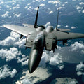 High quality wall art fine art oil painitng handpainted on canvas" fighter in the sky" stunningoilpainting.com