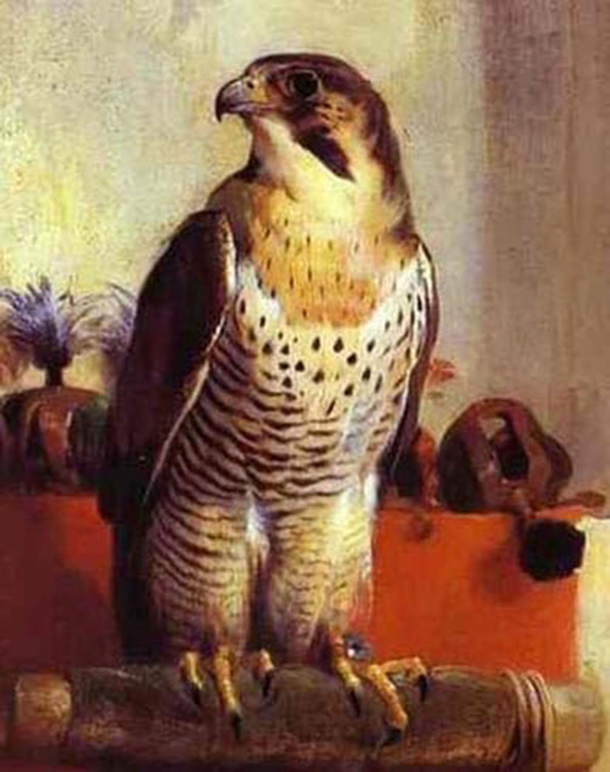 High quality wall art oil painitng handpainted on canvas "The Falcon" stunningoilpainting.com