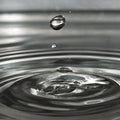 High quality wall art oil painitng handpainted on canvas" Drops Of Water " stunningoilpainting.com