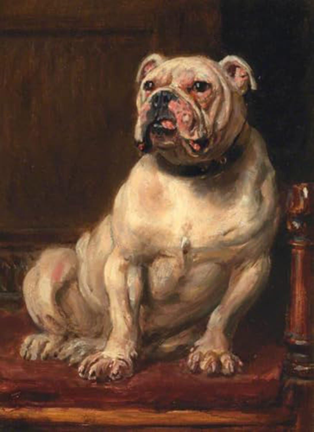 high quality wall art oil painitng handpainted on canvas"Bulldog" stunningoilpainting.com