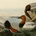 High quality wall art oil painitng handpainted on canvas" Duck" stunningoilpainting.com