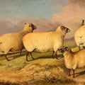 High quality wall art oil painitng handpainted on canvas" sheep " stunningoilpainting.com