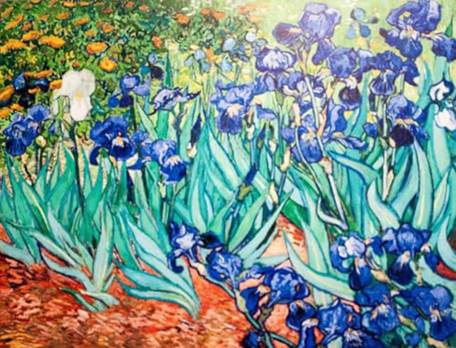 High quality wall art oil painitng handpainted on canvas"Irises " stunningoilpainting.com