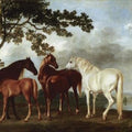 High quality wall art oil painitng handpainted on canvas" mares and foals in a town " stunningoilpainting.com