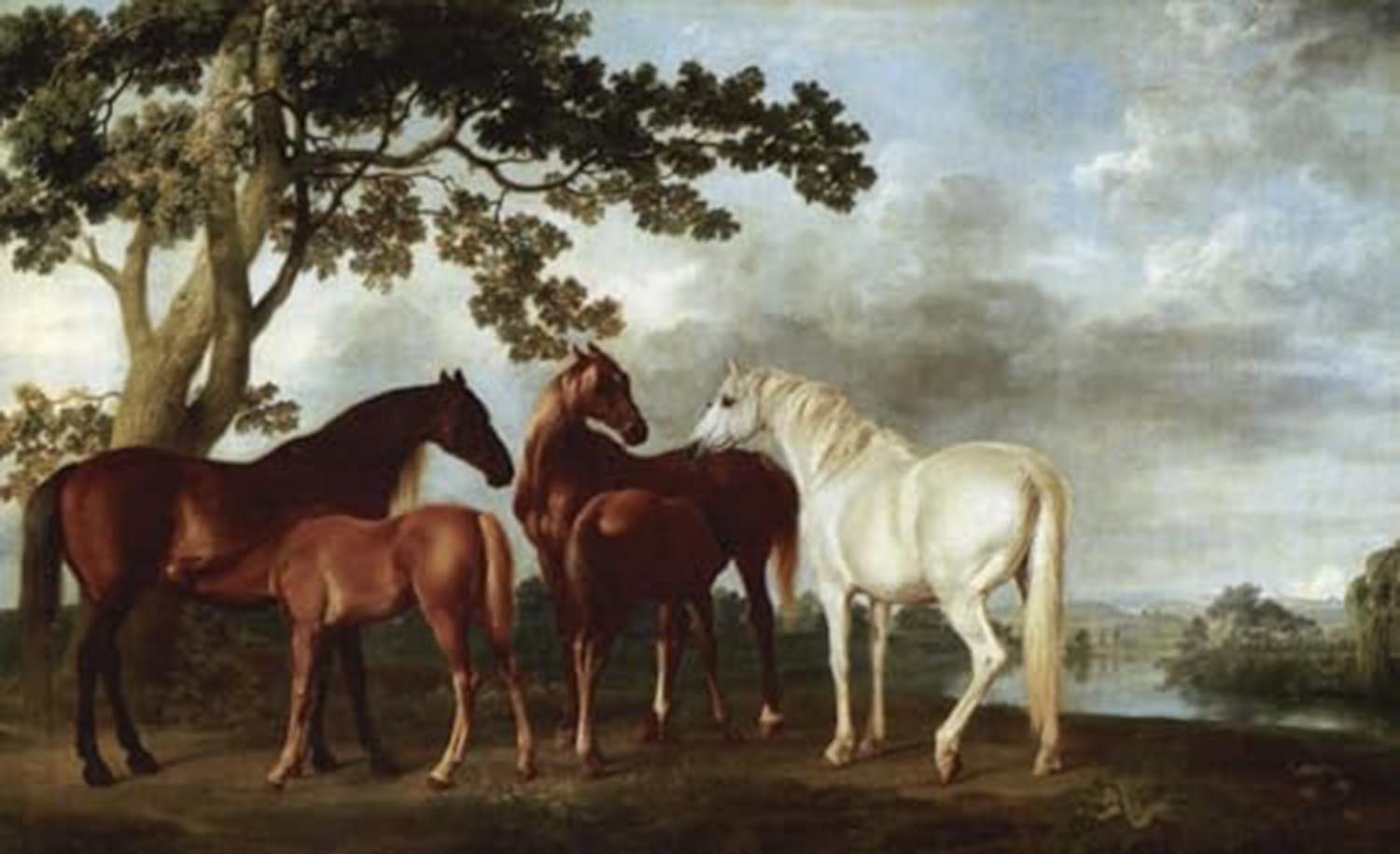 High quality wall art oil painitng handpainted on canvas" mares and foals in a town " stunningoilpainting.com