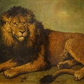 High quality wall art oil painitng handpainted on canvas" lion" stunningoilpainting.com