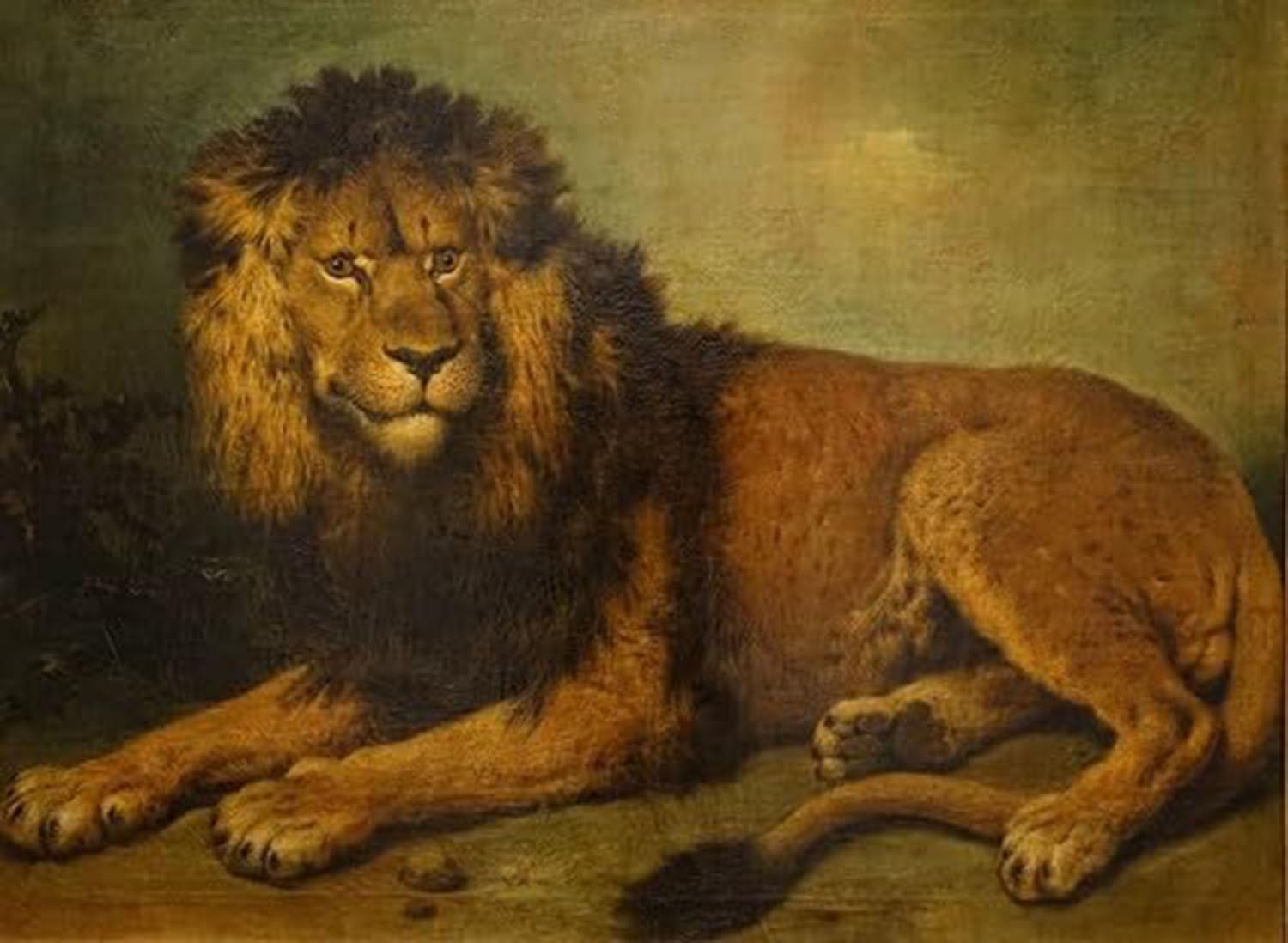 High quality wall art oil painitng handpainted on canvas" lion" stunningoilpainting.com