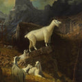 High quality wall art oil painitng handpainted on canvas "sheep" stunningoilpainting.com