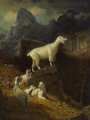 Descriptive image text