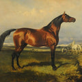 High quality wall art oil painitng handpainted on canvas "horse" stunningoilpainting.com