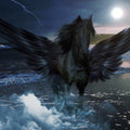 High quality wall art fine art oil painitng handpainted on canvas "a flying horse " stunningoilpainting.com