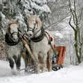 High quality wall art fine art oil painitng handpainted on canvas "horses pulling a samll cart in the snow" stunningoilpainting.com