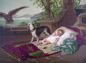Descriptive image text