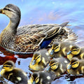 High quality wall art fine art oil painitng handpainted on canvas"The ducks are swimming in the river" stunningoilpainting.com