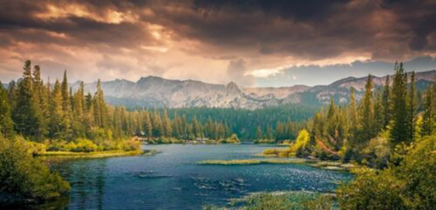 High quality wall art fine art oil painitng handpainted on canvas"mountains ,lake ,forest" stunningoilpainting.com