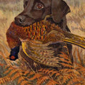 High quality wall art fine art oil painitng handpainted on canvas"A dog and its food stunningoilpainting.com