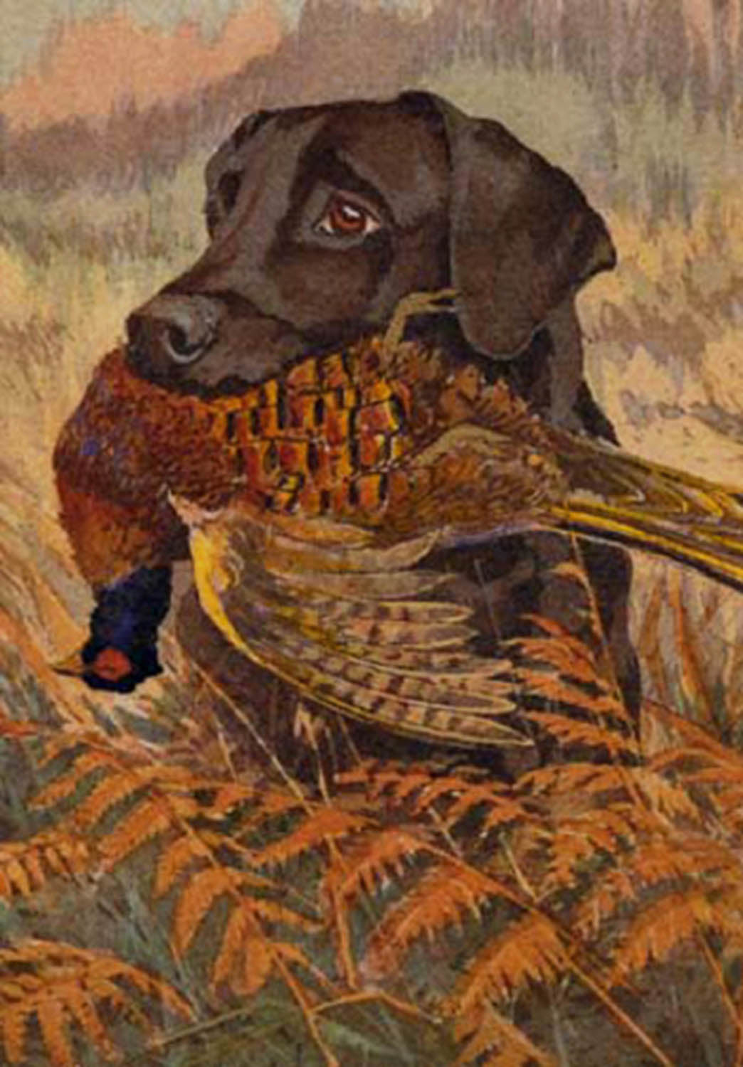High quality wall art fine art oil painitng handpainted on canvas"A dog and its food stunningoilpainting.com