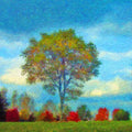 High quality wall art fine art oil painitng handpainted on canvas "Autumn Trees" stunningoilpainting.com