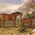 High quality wall art oil painitng handpainted on canvas "horses,dogs,rabbit" stunningoilpainting.com