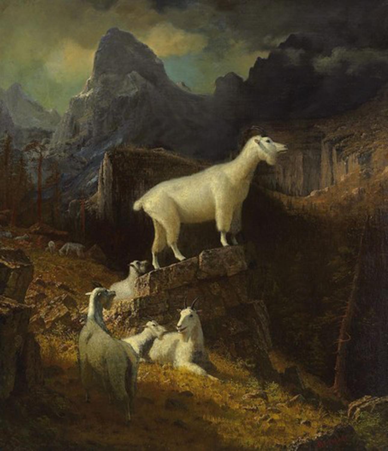 high quality wall art oil painitng handpainted on canvas "Goats on Rocky Mountain" stunningoilpainting.com