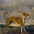 High quality wall art oil painitng handpainted on canvas "a dog " stunningoilpainting.com