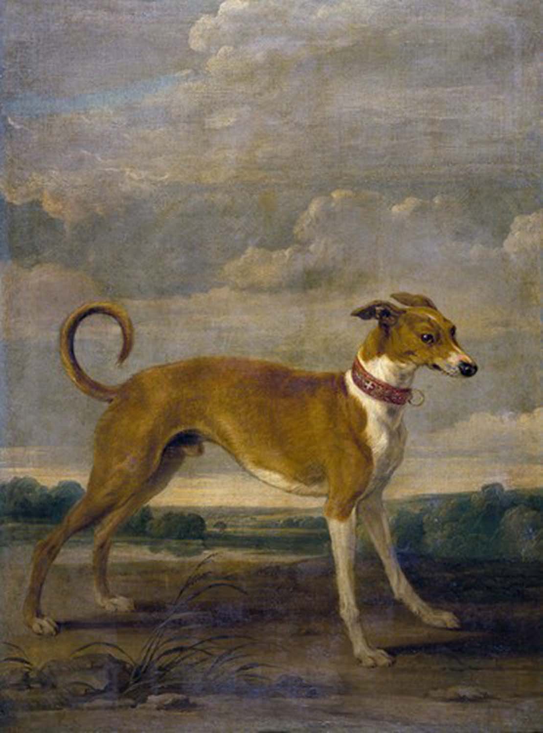 High quality wall art oil painitng handpainted on canvas "a dog " stunningoilpainting.com