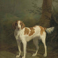 High quality wall art oil painitng handpainted on canvas"a lovely dog" stunningoilpainting.com