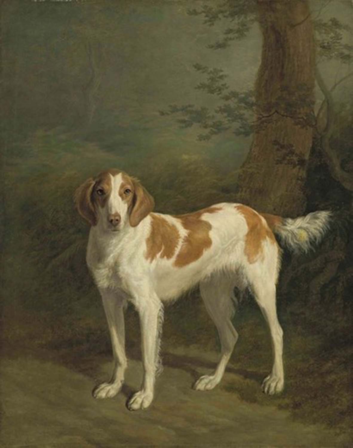 High quality wall art oil painitng handpainted on canvas"a lovely dog" stunningoilpainting.com