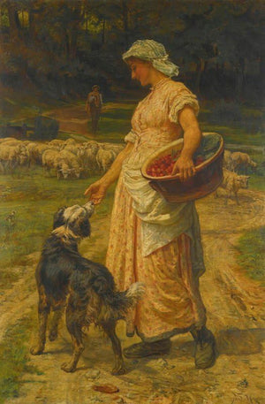 Descriptive image text