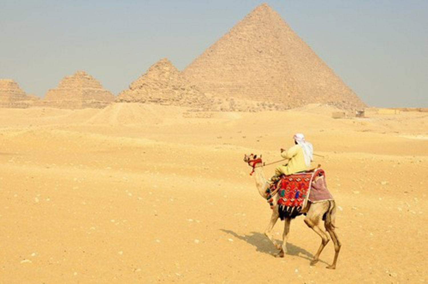 High quality wall art oil painitng handpainted on canvasa "a man riding on a camel " stunningoilpainting.com