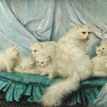 High quality wall art oil painitng handpainted on canvasa "lovely cats" stunningoilpainting.com