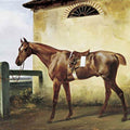 High quality wall art oil painitng handpainted on canvasa "race horse " stunningoilpainting.com