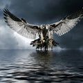High quality wall art oil painitng handpainted on canvasa "eagle,sea" stunningoilpainting.com